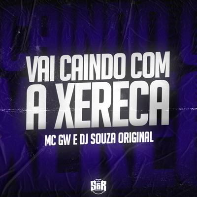 Vai Caindo Com a Xereca By DJ Souza Original, Mc Gw, Mc Fany's cover
