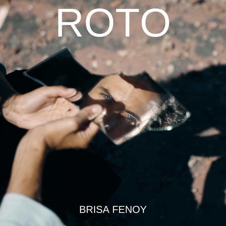 Brisa Fenoy's avatar image