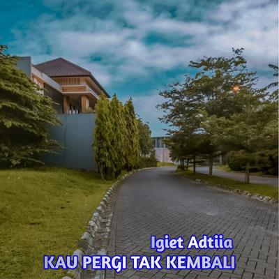 Kau Pergi Tak Kembali (Single)'s cover