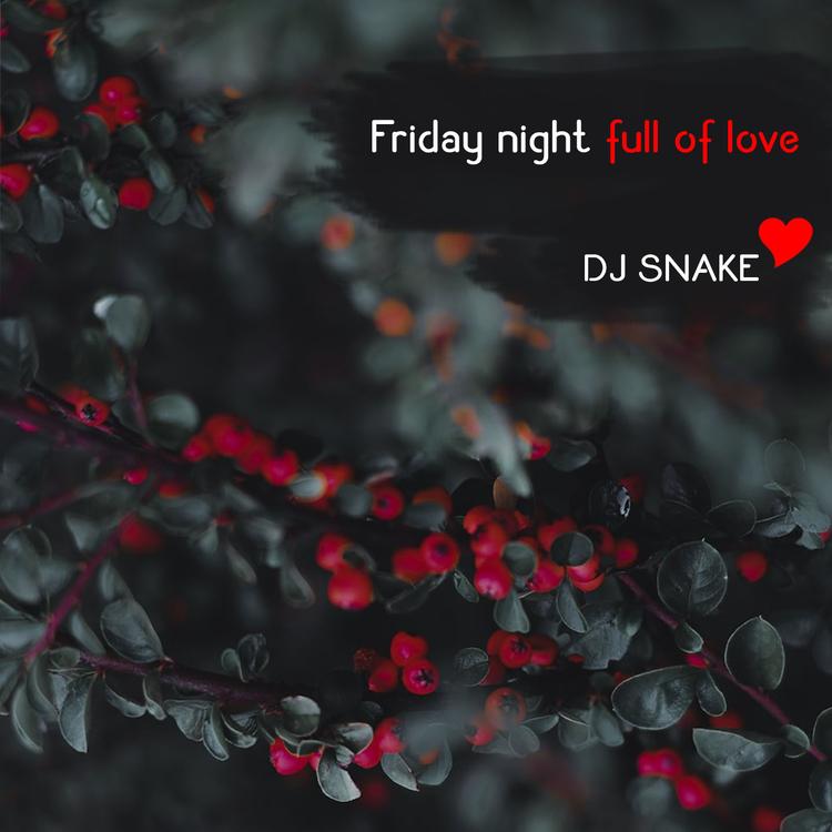 DJ Snake's avatar image