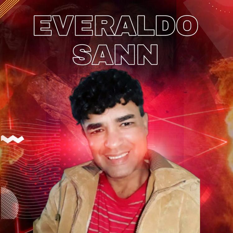 Everaldo Sann's avatar image