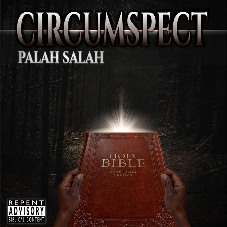 Palah Salah's avatar image