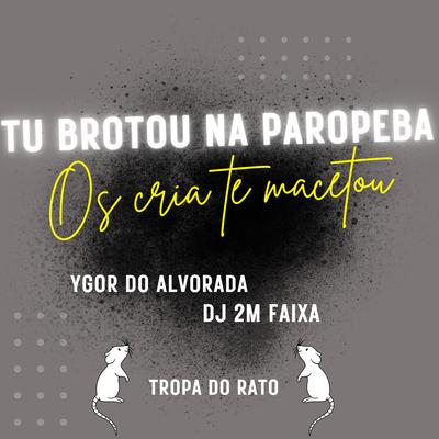 Tu Brotou na Paropeba os Cria Te Macetou (Tropa do Rato) By ygor do alvorada, 2M FAIXA's cover
