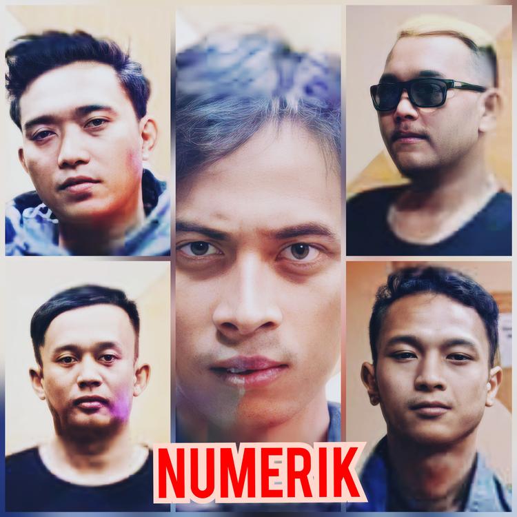 Numerik's avatar image