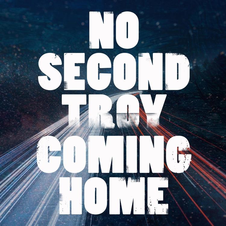 No Second Troy's avatar image