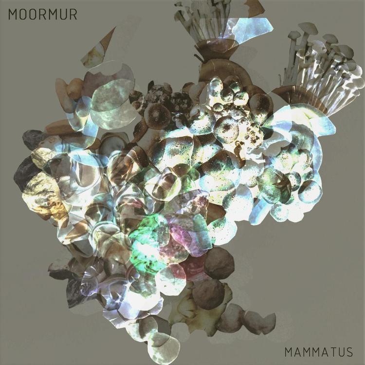 Moormur's avatar image