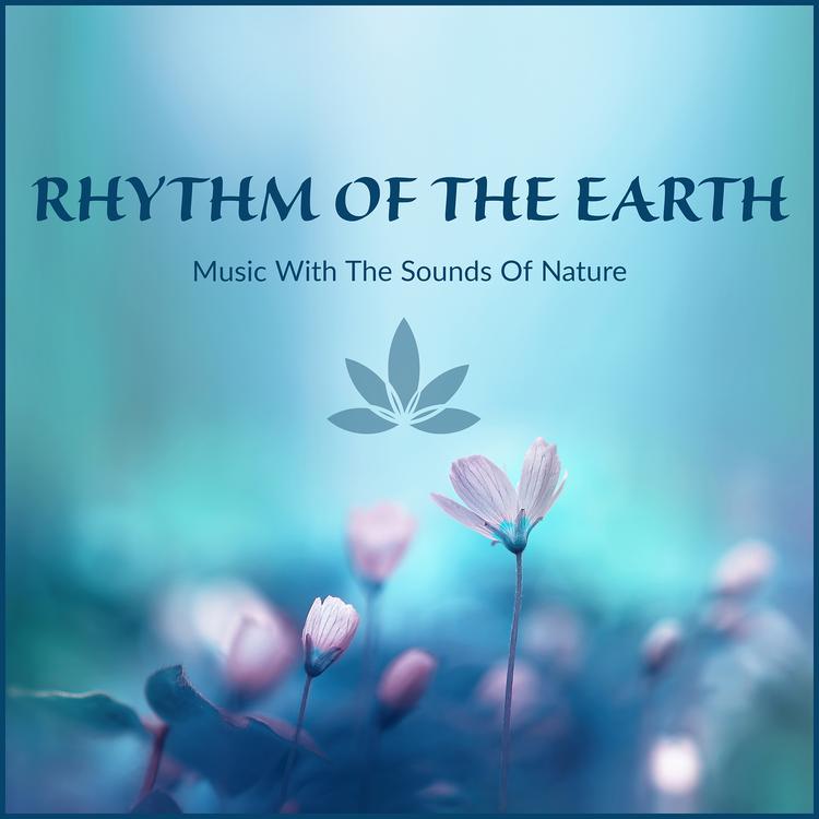 Music With The Sounds Of Nature's avatar image