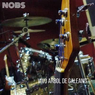 Nunca Alcanza - Vivo Arbol de Galeano (En vivo)'s cover