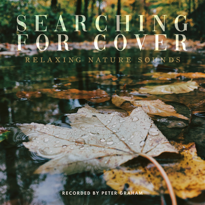 Searching For Cover By Peter Graham's cover
