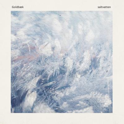 saltvatten By Goldbæk's cover