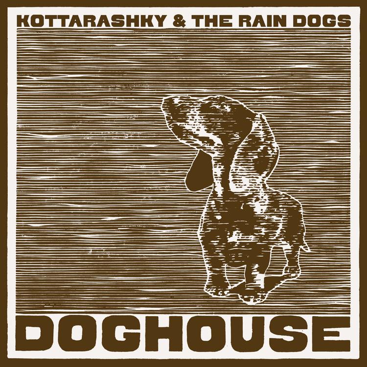 Kottarashky & The Rain Dogs's avatar image