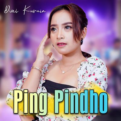 Ping Pindho (Koplo Version)'s cover