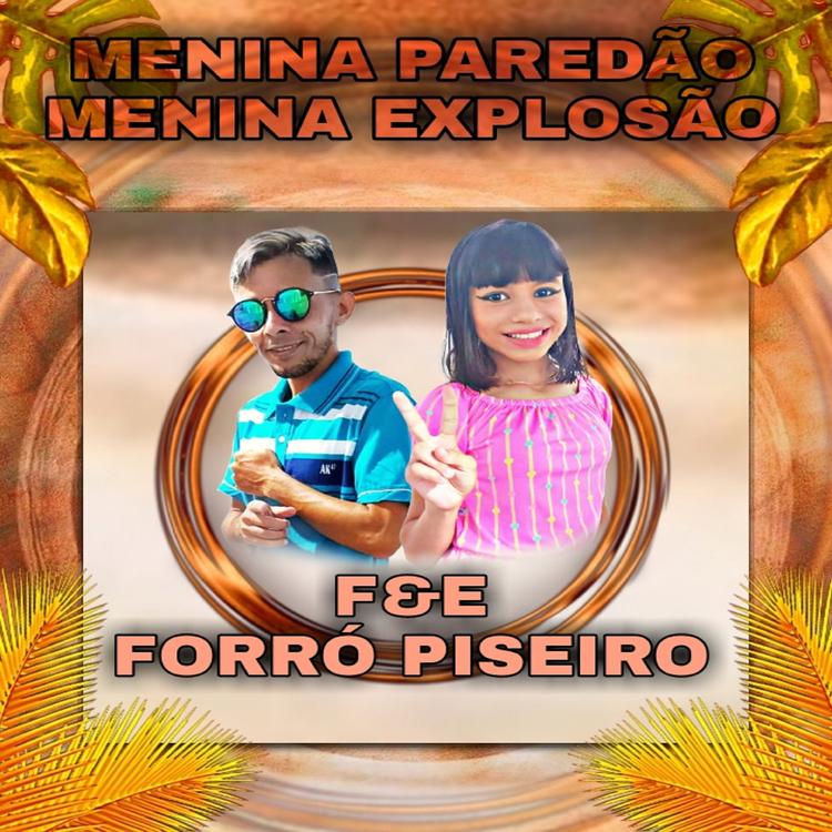 F & E Forró Piseiro's avatar image