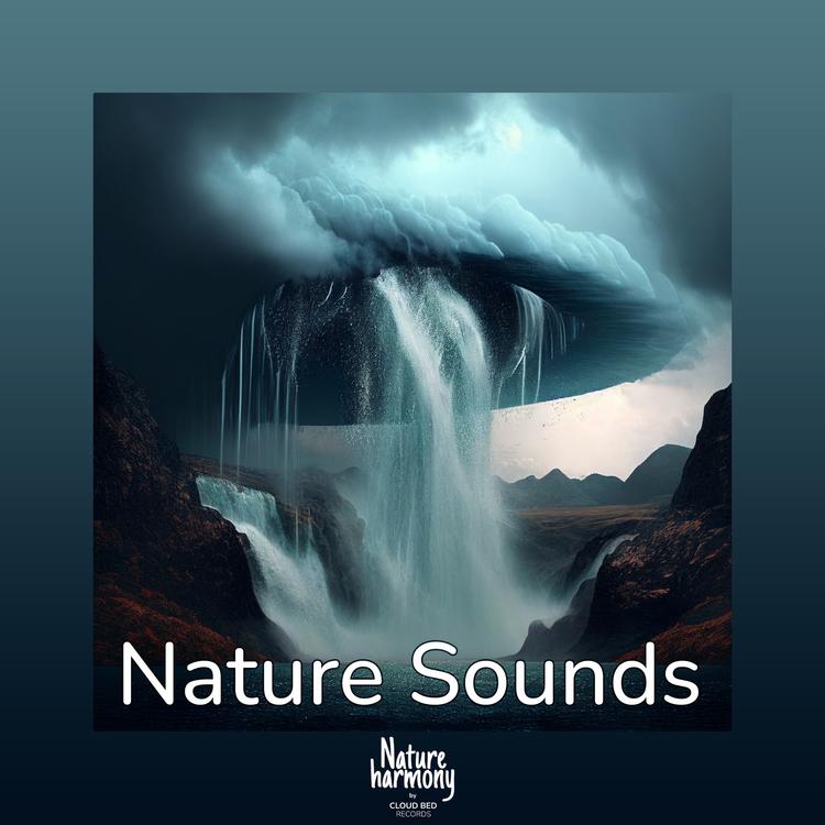 Nature Sounds by Cloud Bed's avatar image