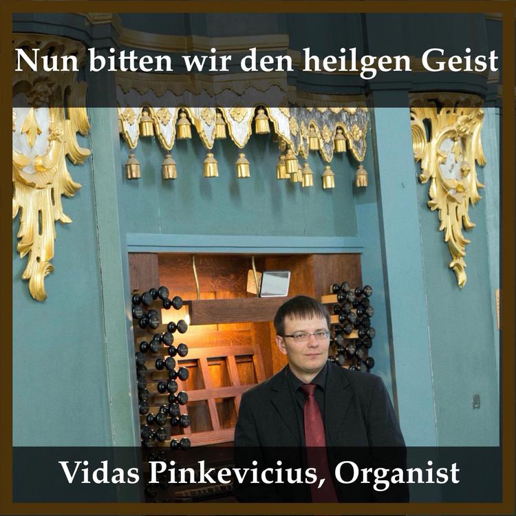 Vidas Pinkevicius's avatar image