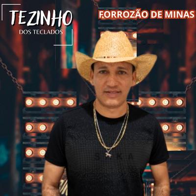 Forrozão de Minas's cover