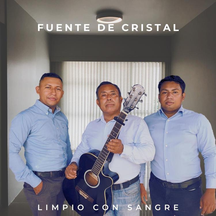 Fuente de Cristal's avatar image