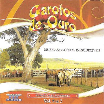 Músicas Gaúchas Inesquecíveis, Vol.4's cover