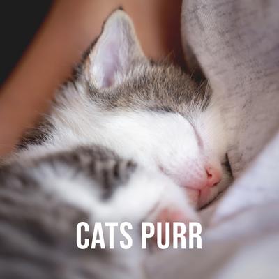 Cats Purr on Lap, Pt. 1 By Relaxing White Noise Sounds's cover