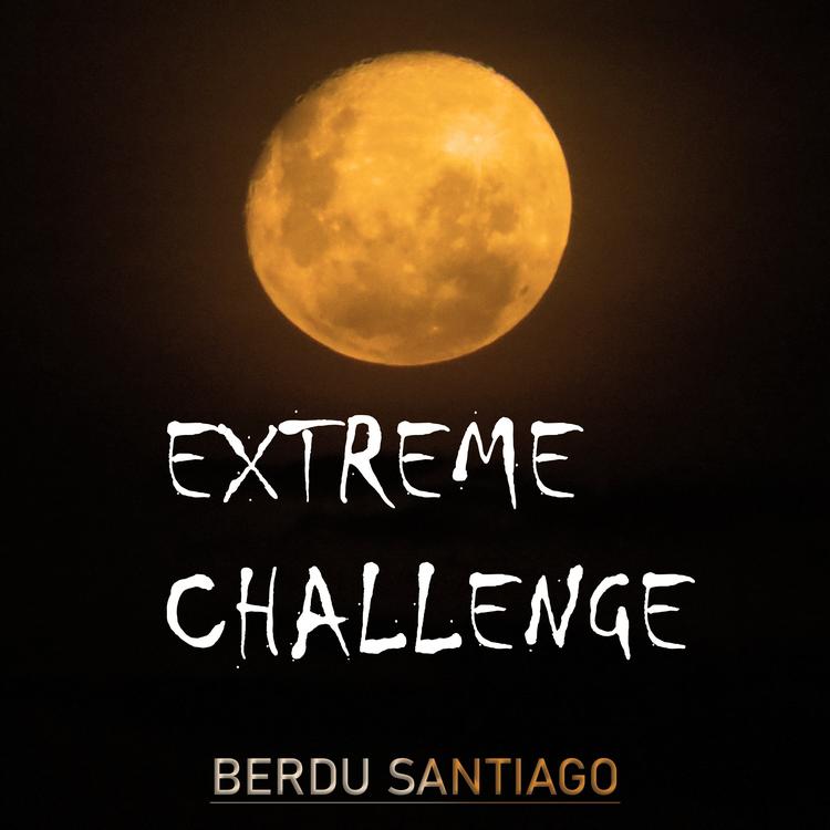 Berdu Santiago's avatar image