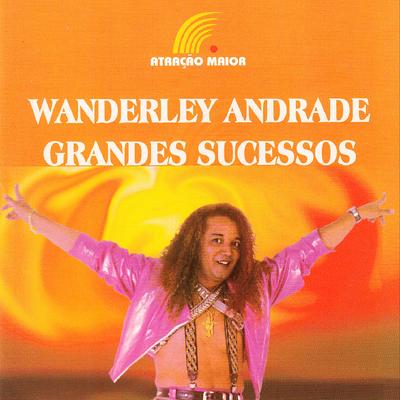 Tchau Amor (Estou Indo Embora) By Wanderley Andrade's cover