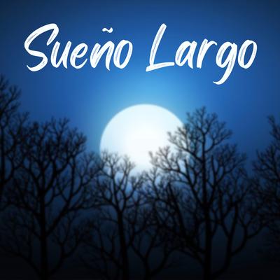 Sueño Largo's cover