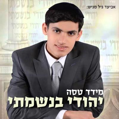 עושים תשובה By מידד טסה's cover