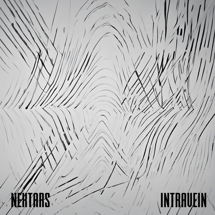 Nextars's avatar image