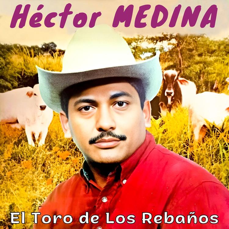 Hector Medina's avatar image