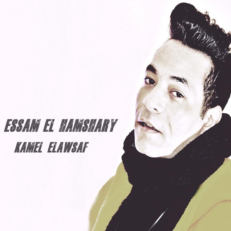 Essam El Hamshary's avatar image