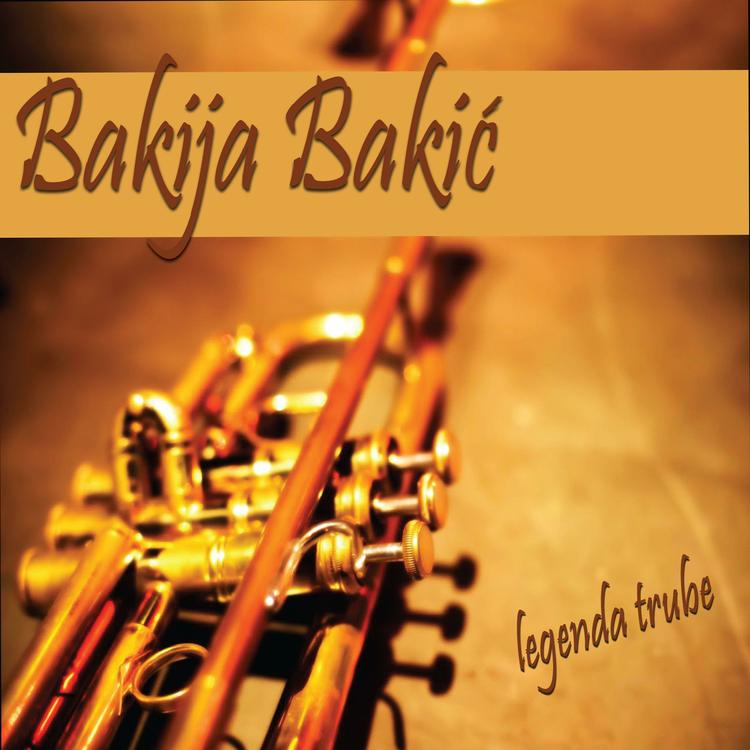 Bakija Bakic's avatar image