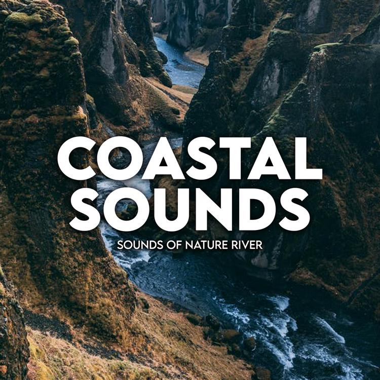 Coastal Sounds's avatar image