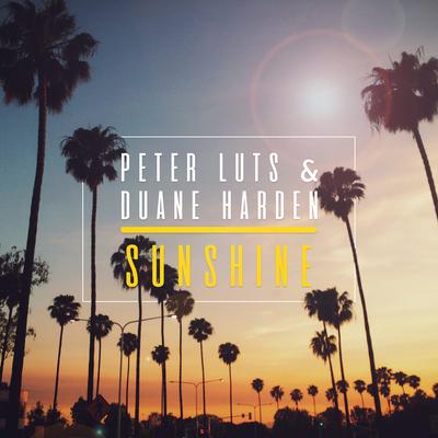 Sunshine (Radio Edit) By Peter Luts, duane harden's cover