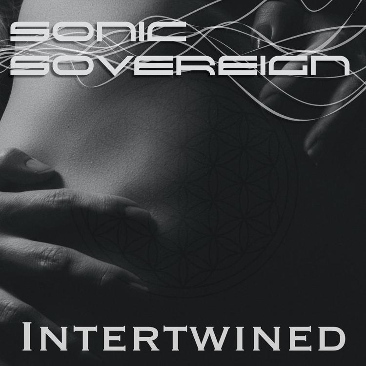 Sonic Sovereign's avatar image