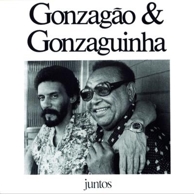 Pense N'Eu (feat. Gonzaguinha) By Luiz Gonzaga, Gonzaguinha's cover