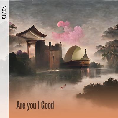 Are You I Good's cover