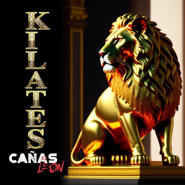 cañas el leon's avatar image