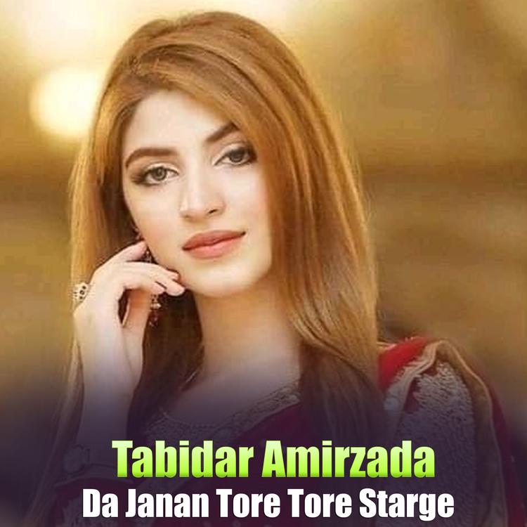 Tabidar Amirzada's avatar image