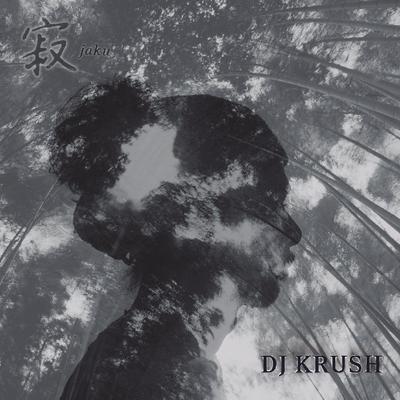 Song 2 (Album Version) By DJ Krush's cover