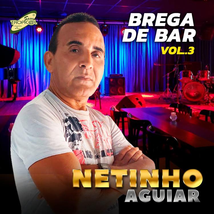 Netinho Aguiar's avatar image