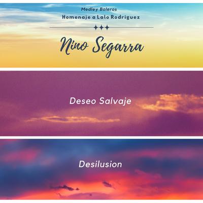 Deseo Salvaje y Desilusion By Nino Segarra's cover