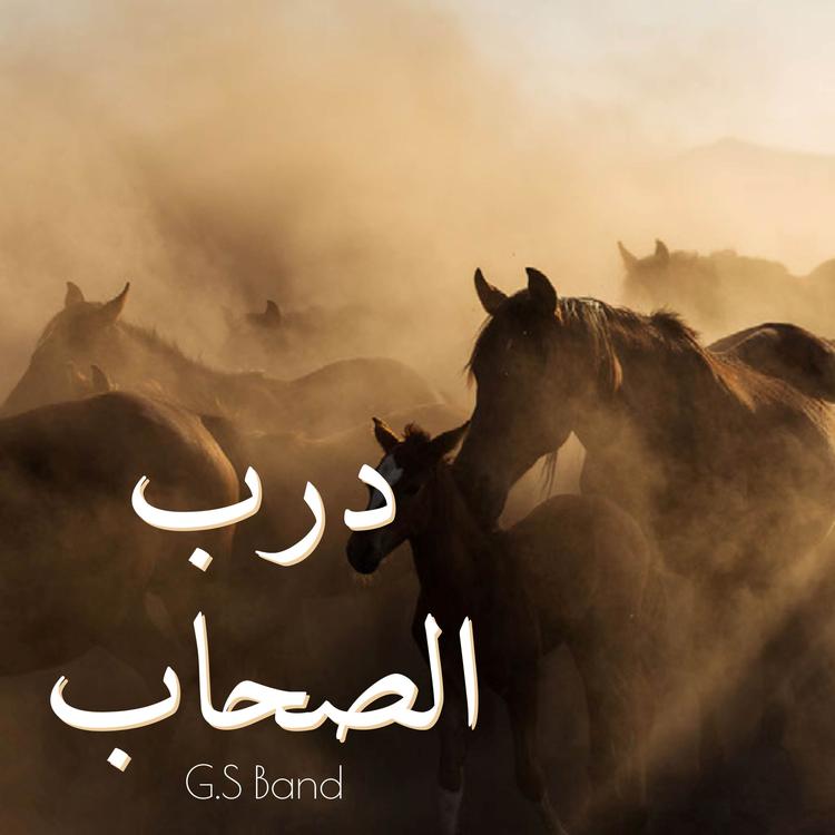 G.S Band's avatar image