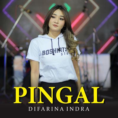 Pingal's cover