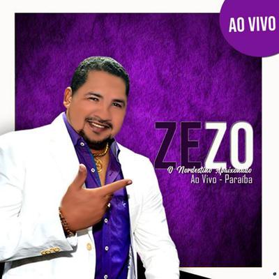 Decida (Ao Vivo) By Zezo's cover