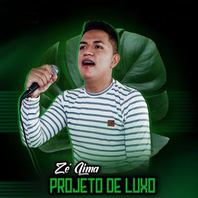 Não Posso Dizer Adeus (Cover) By Projeto de Luxo's cover