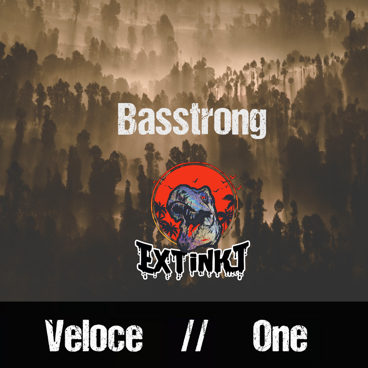 Basstrong's avatar image