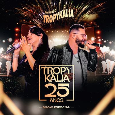 Tropykália 25 Anos (Show Especial)'s cover