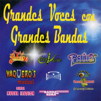 Grandes Voces Con Grandes Bandas's cover