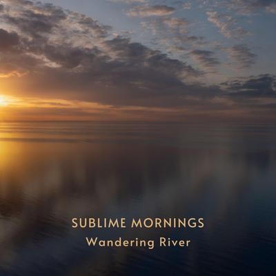 Distancing By Wandering River's cover