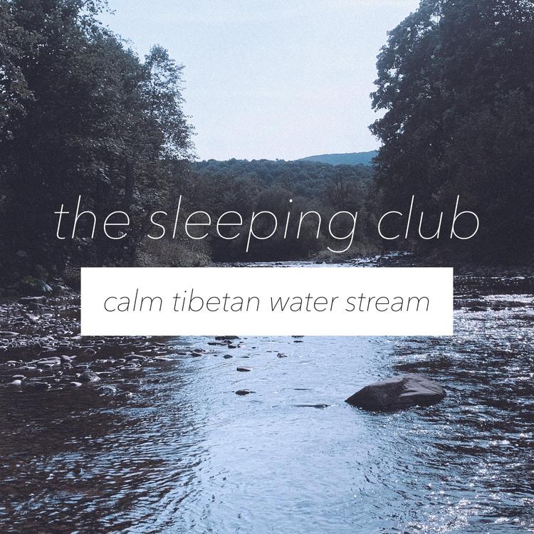 The Sleeping Club's avatar image